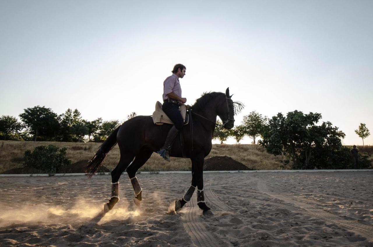 ホテル La Dehesa De Don Pedro モネステリオ エクステリア 写真